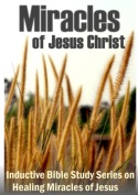 Miracles of Jesus Christ ebook pdf miracles of jesus ebook pdf 125 eBookstore