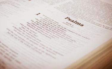 blessed psalm 1 Blessed is the Man   Psalms 1 Bible Study