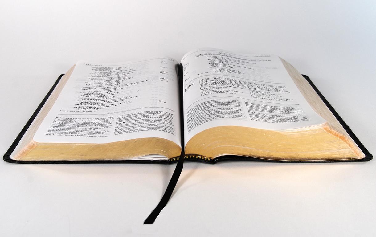 bible-bible-study-lessons-and-topics